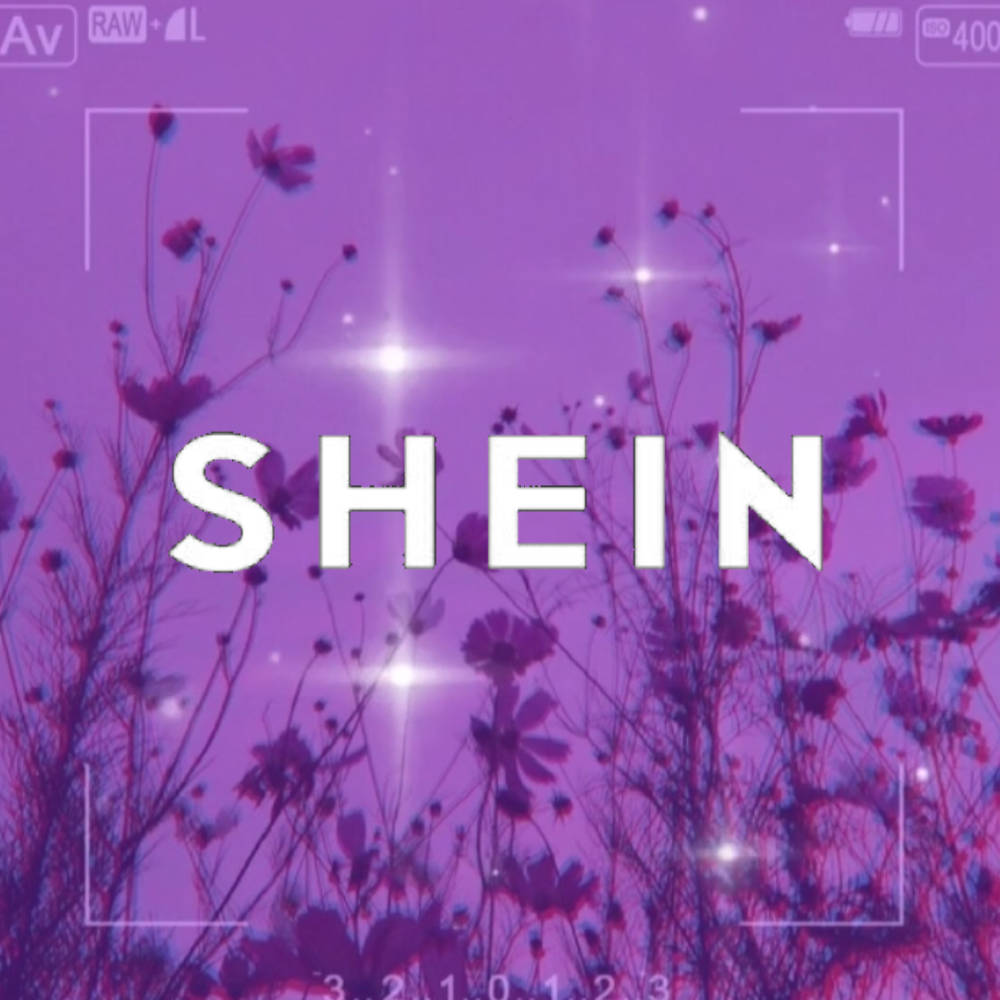 Violetteblumen Shein. Wallpaper