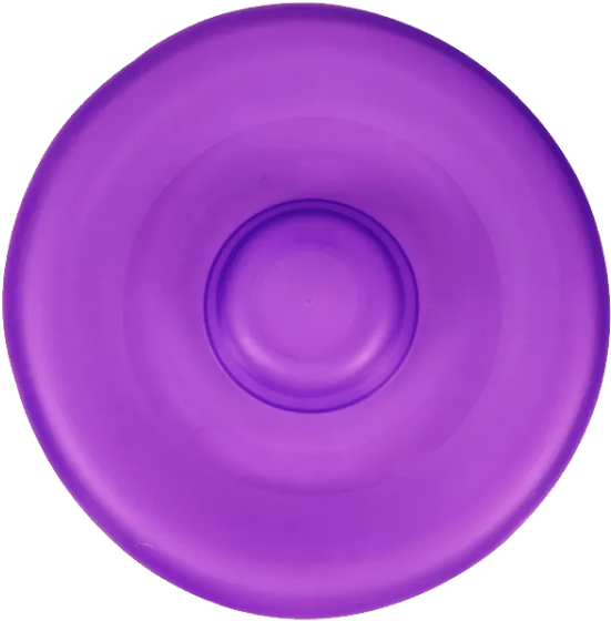 Purple Frisbee Top View PNG