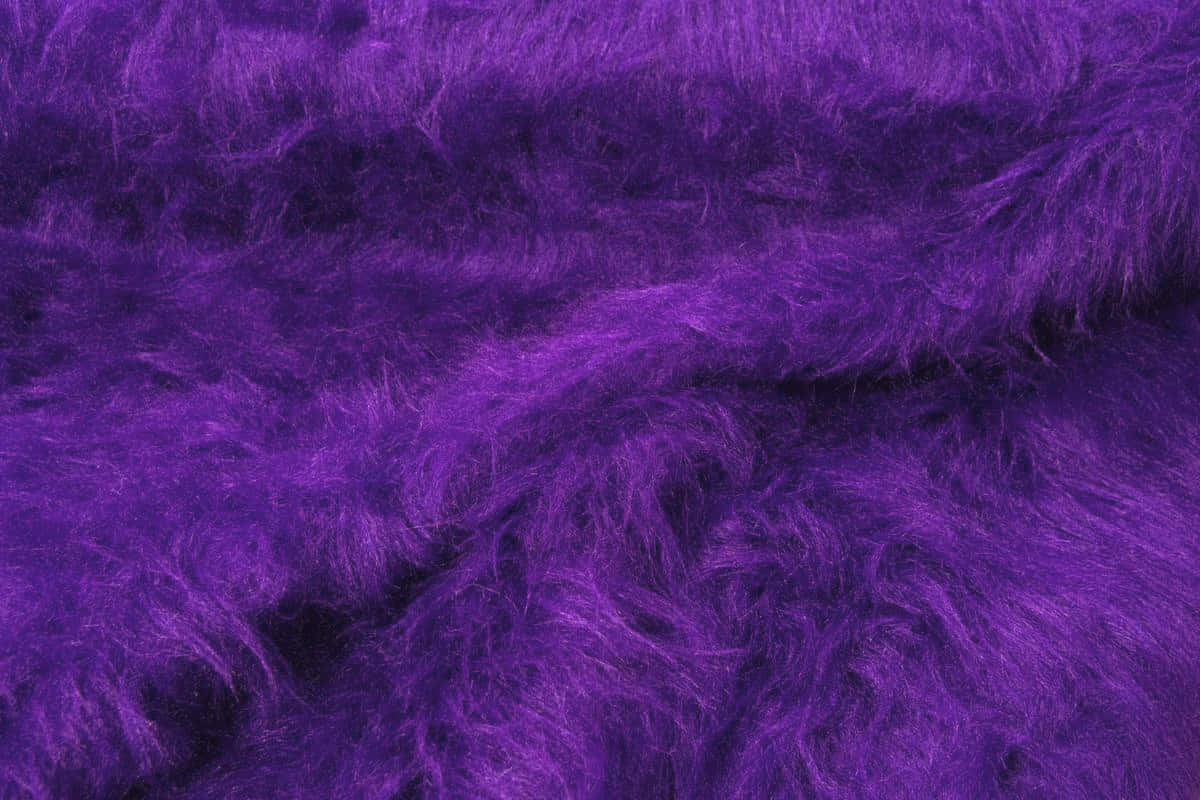 Create a Statement Look with Purple Fur. Wallpaper