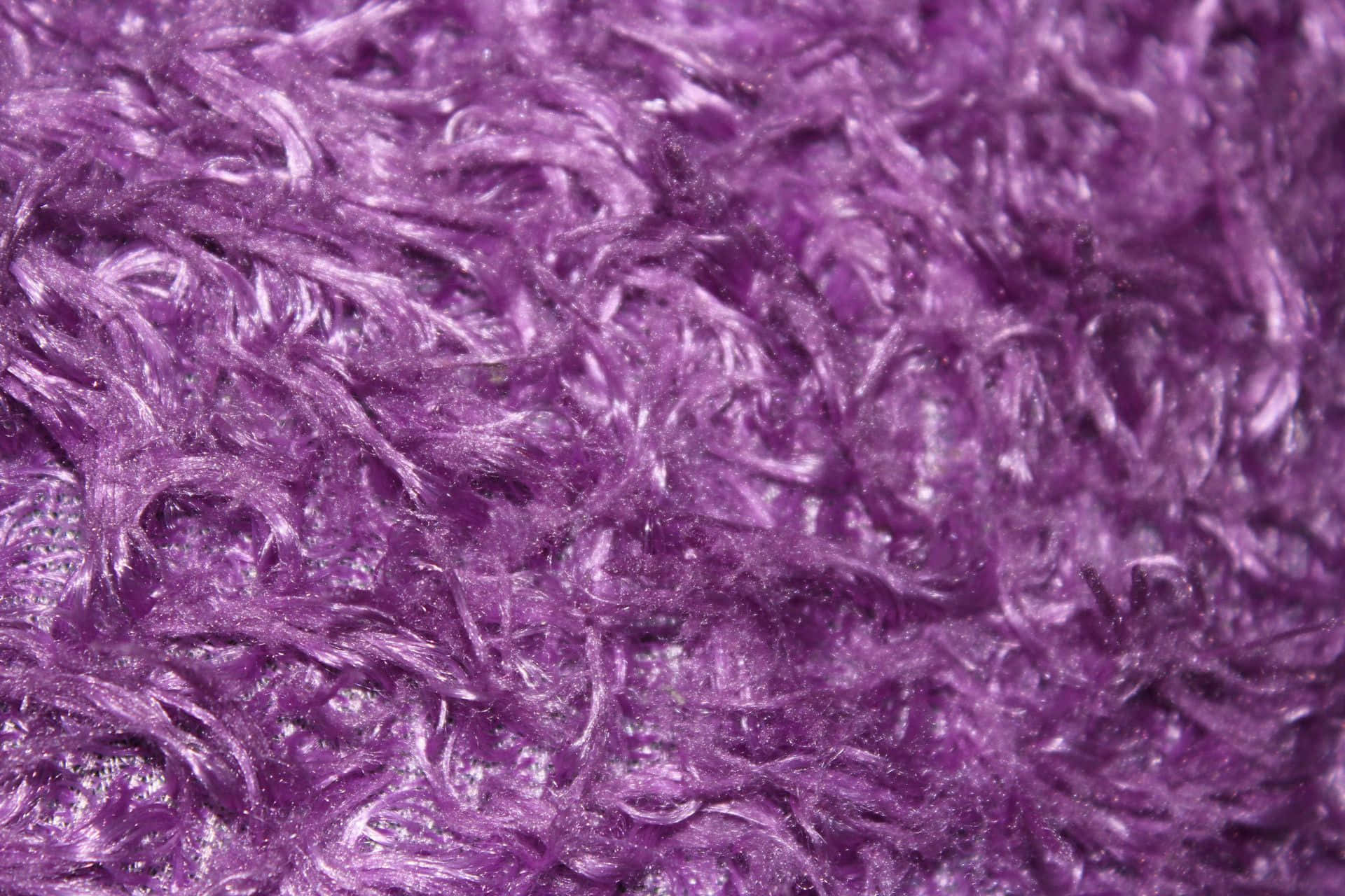 Soft, Plush Purple Fur Wallpaper