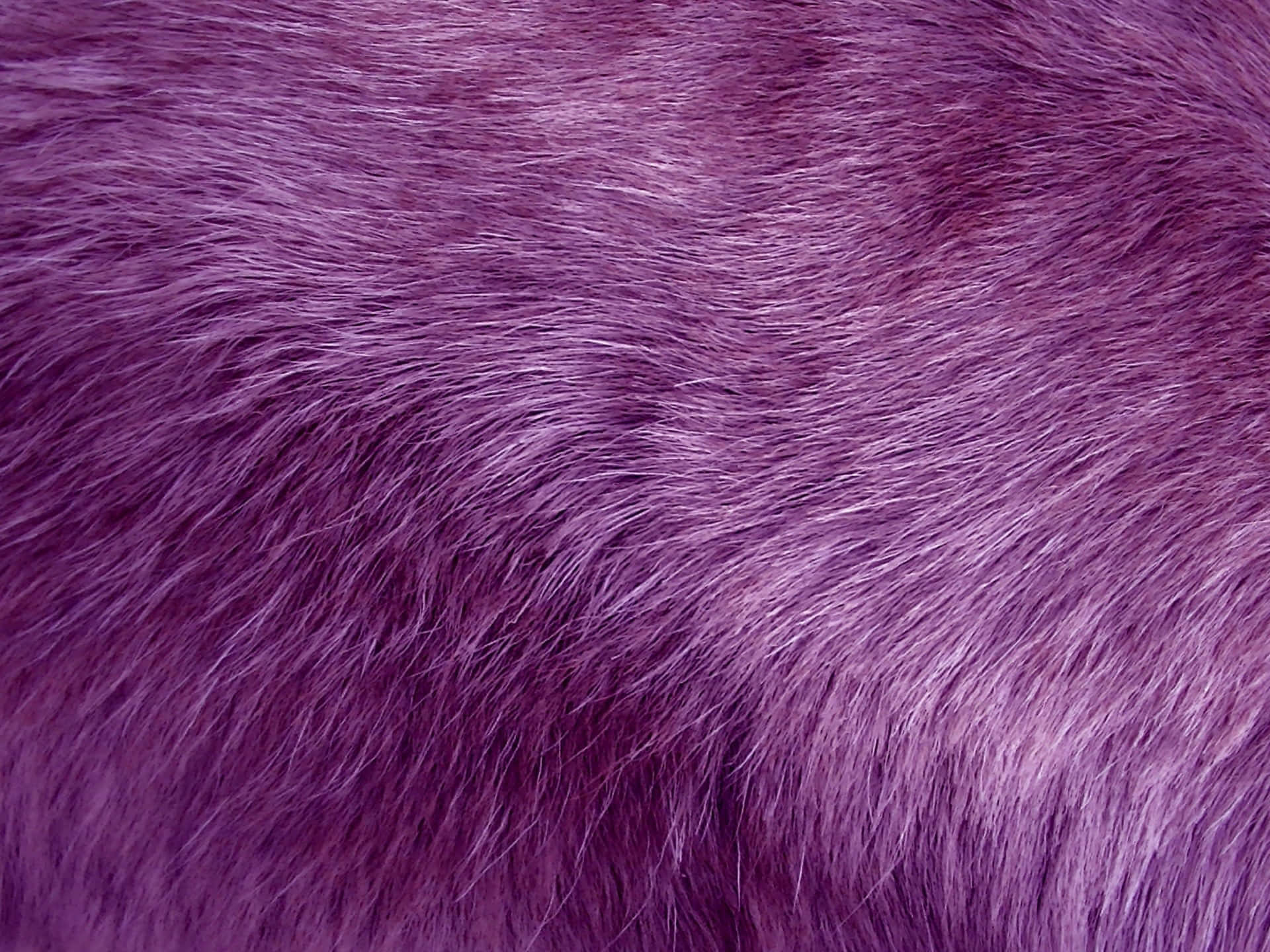 Strut with Style in Velvety Purple Fur Wallpaper