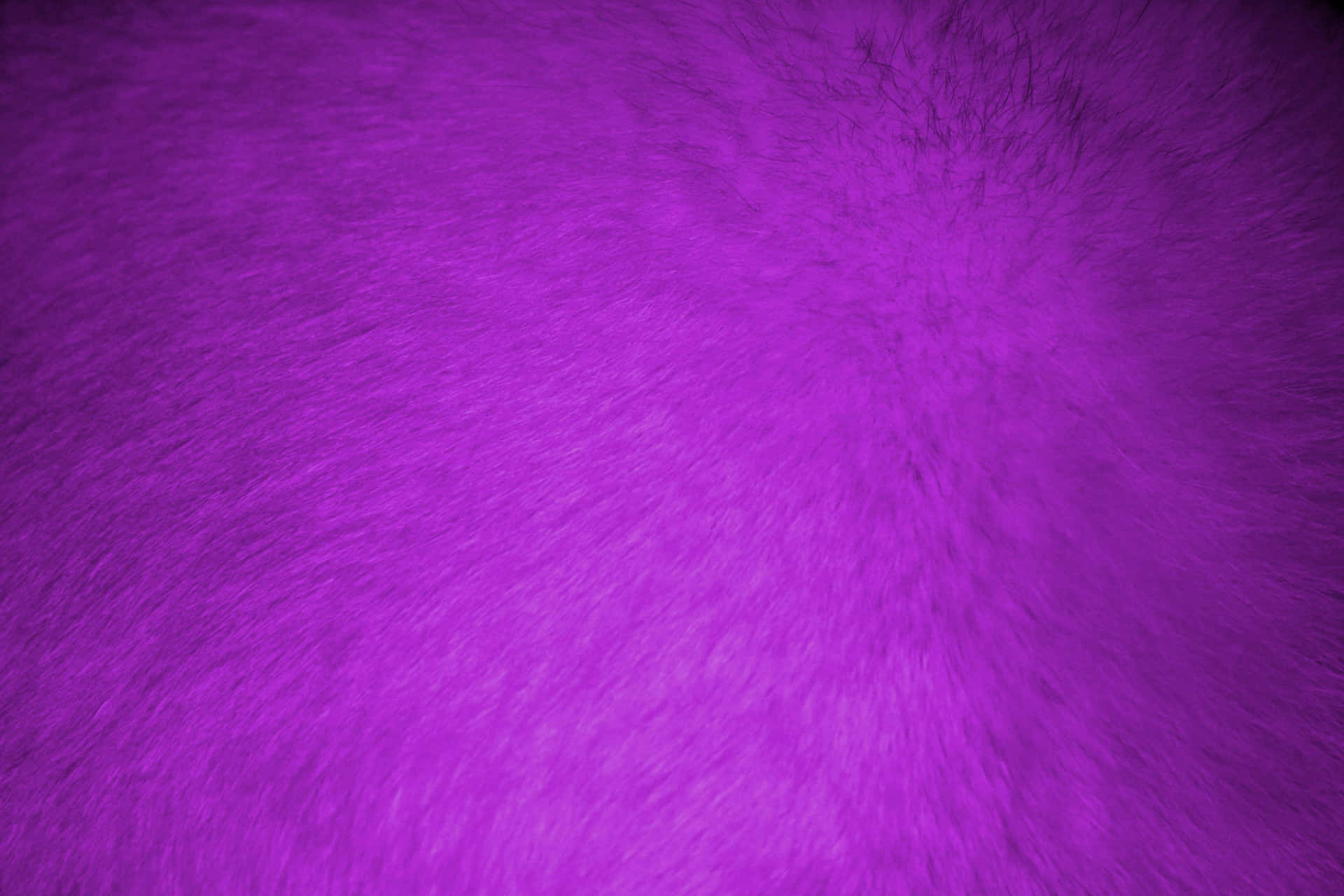 Add a pop of personality to your room with Purple Fur wallpaper Wallpaper