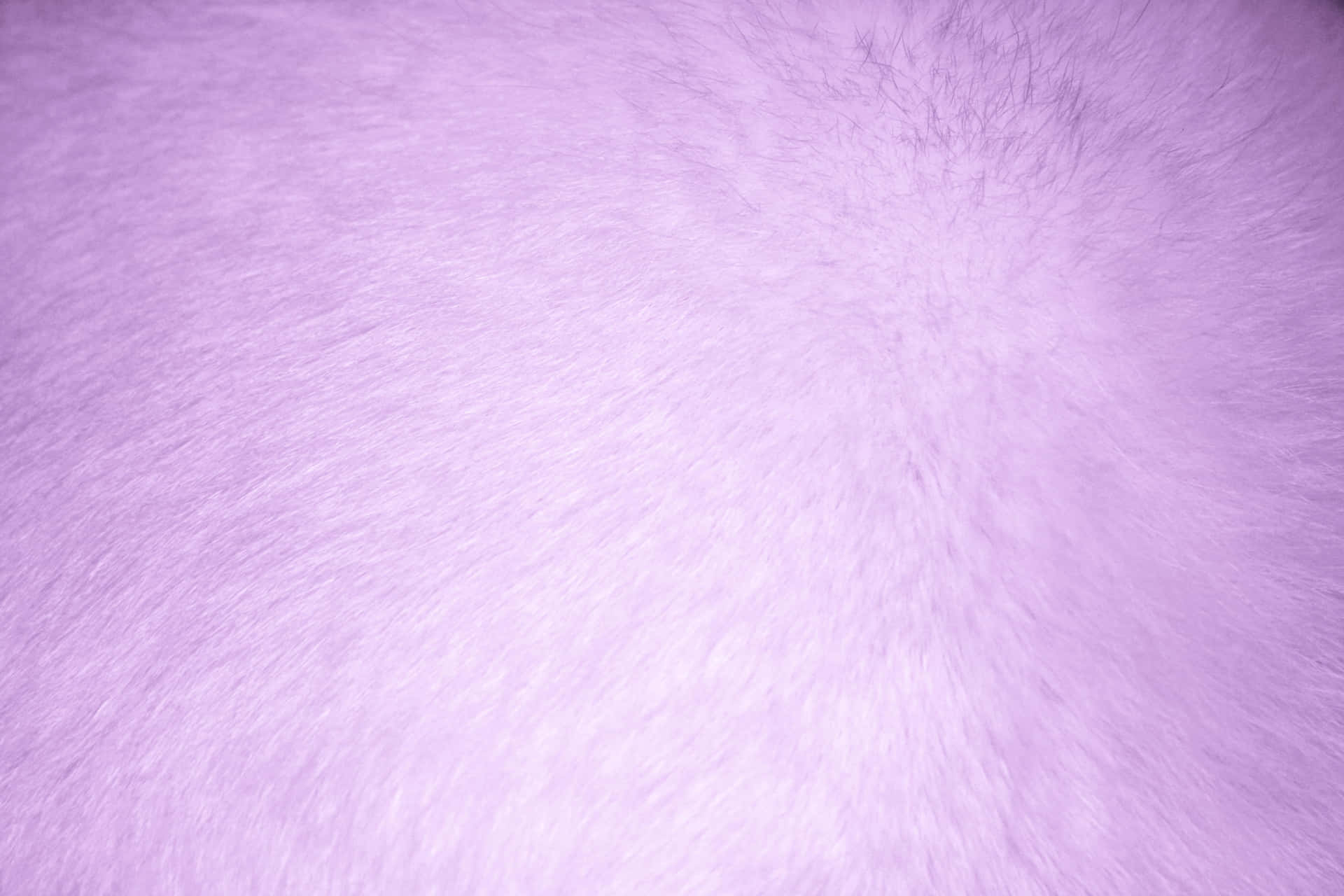 Soft and Smooth Purple Fur Wallpaper