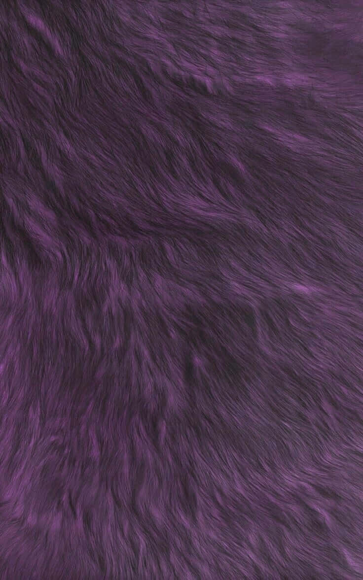 Adorn yourself with this beautiful and luxurious purple fur. Wallpaper