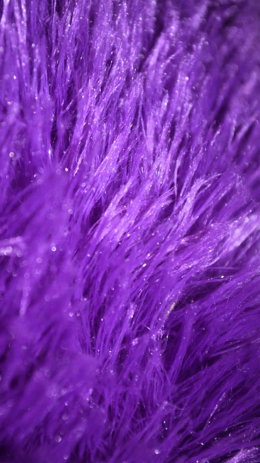 Soft and luxurious purple fur fabric Wallpaper
