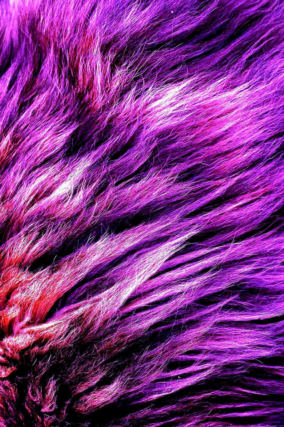 Download Purple Fur 910 x 1366 wallpaper Wallpaper | Wallpapers.com