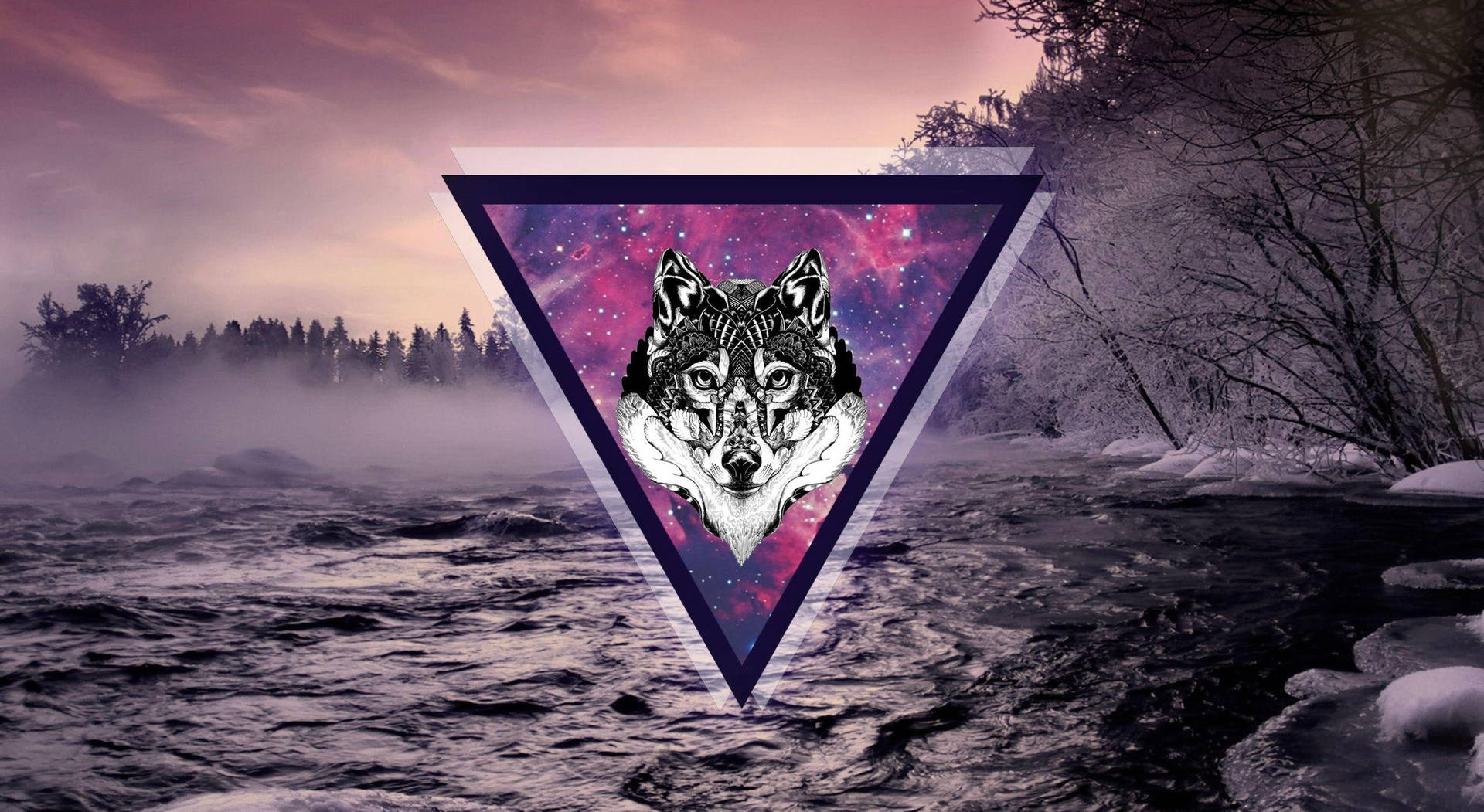 Purple Galaxy Wolf Wallpaper