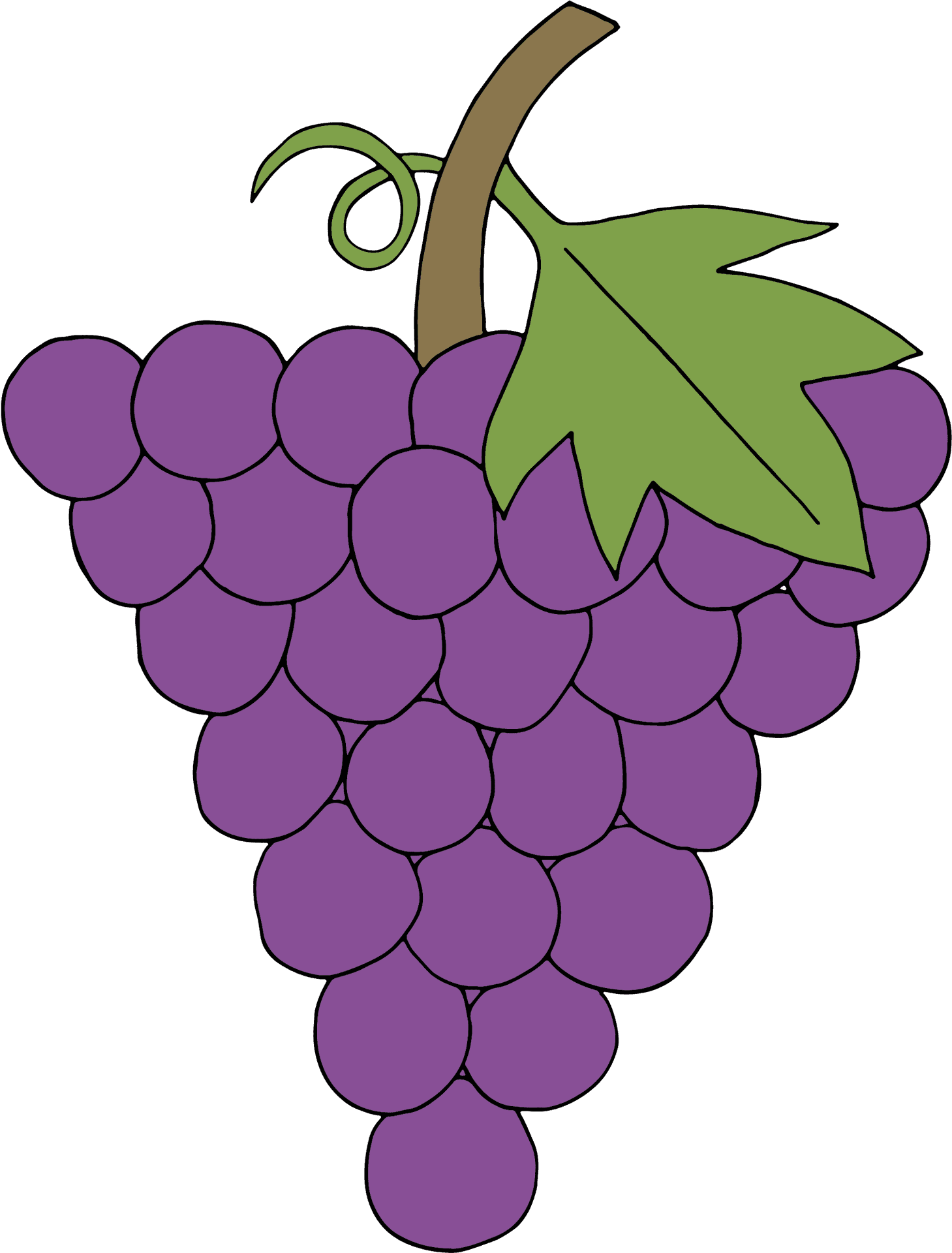 Purple Grape Cluster Illustration PNG