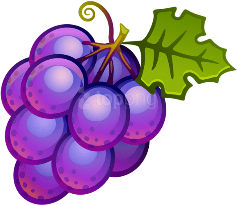Purple Grapes Cartoon Illustration PNG