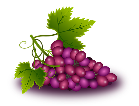 Purple Grapes Cluster Illustration PNG