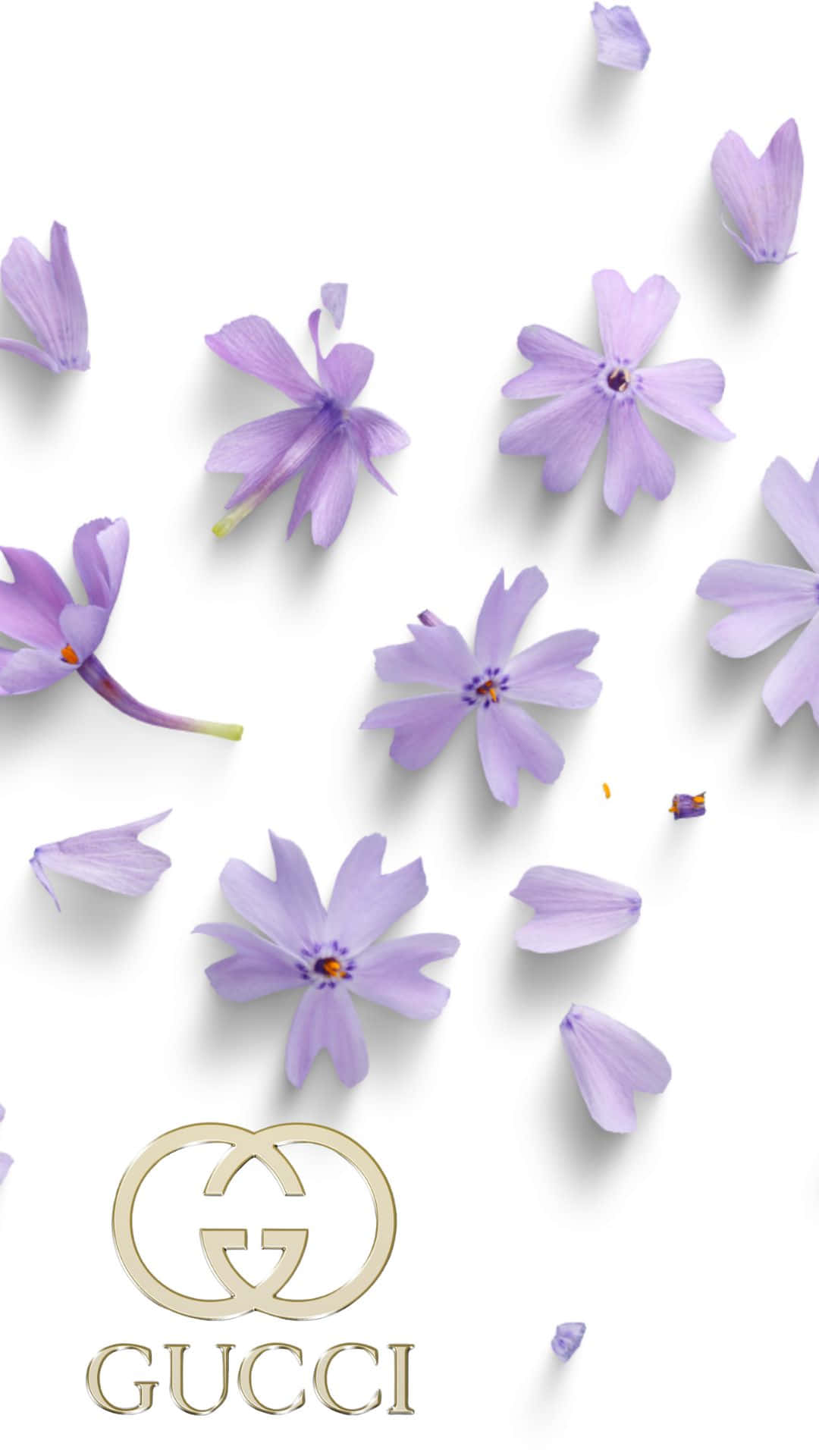 Purple Flowers Gucci Logo Wallpaper