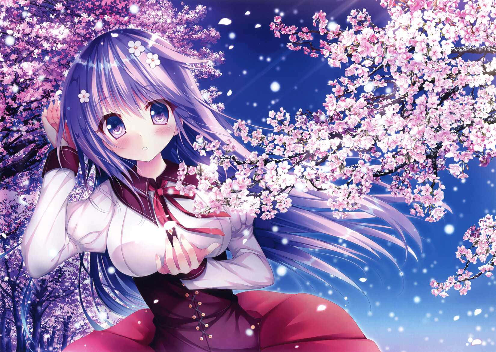 Purple Haired Anime Girl Cherry Blossoms Wallpaper