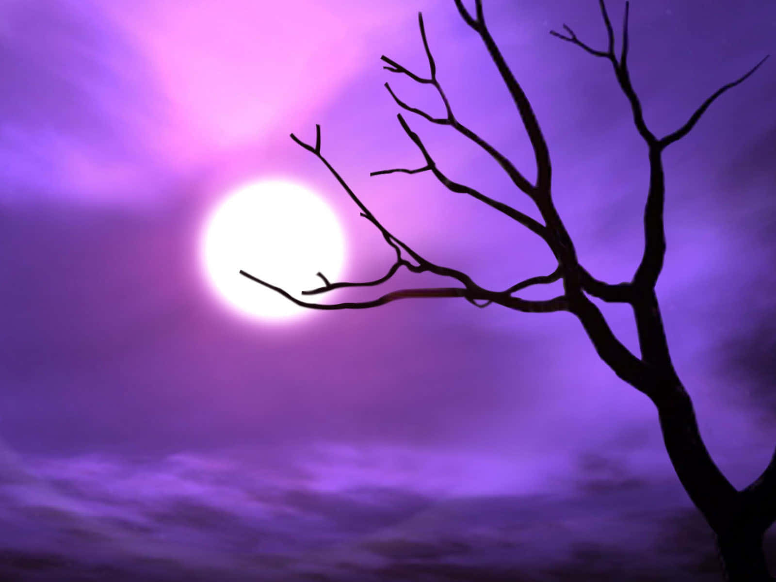 Purple Halloween Moonand Tree Silhouette Wallpaper