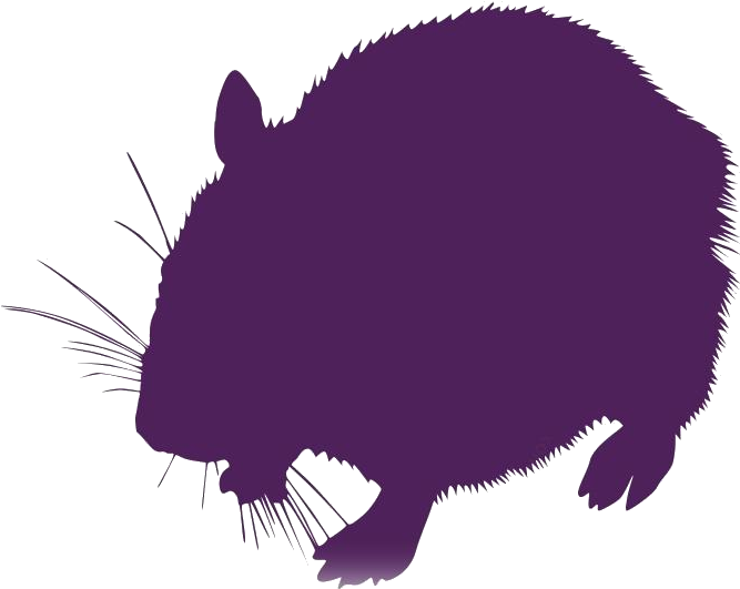 Purple Hamster Silhouette PNG
