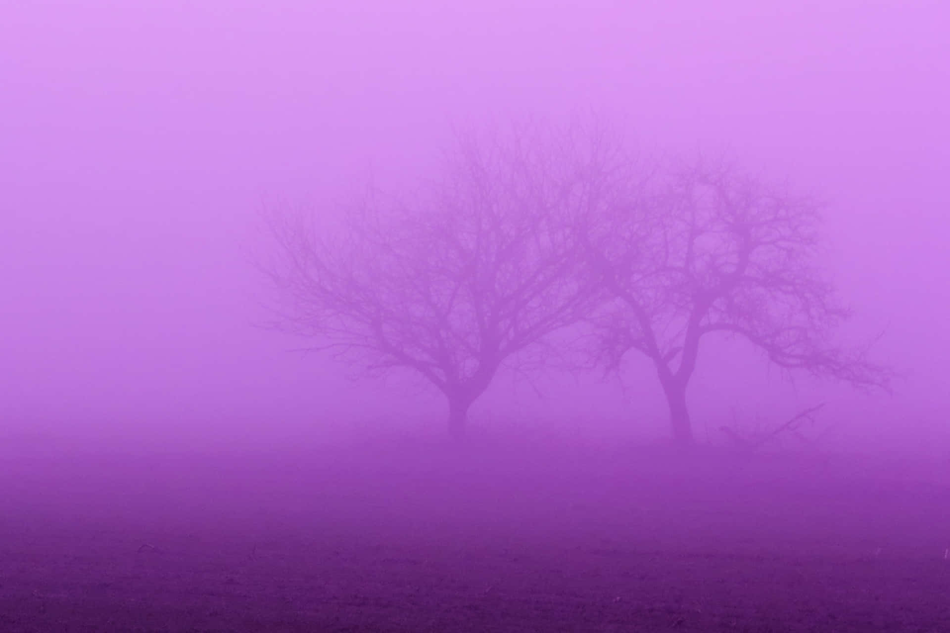 Unavista Vibrante De Una Aurora Boreal En Una Neblina Púrpura. Fondo de pantalla