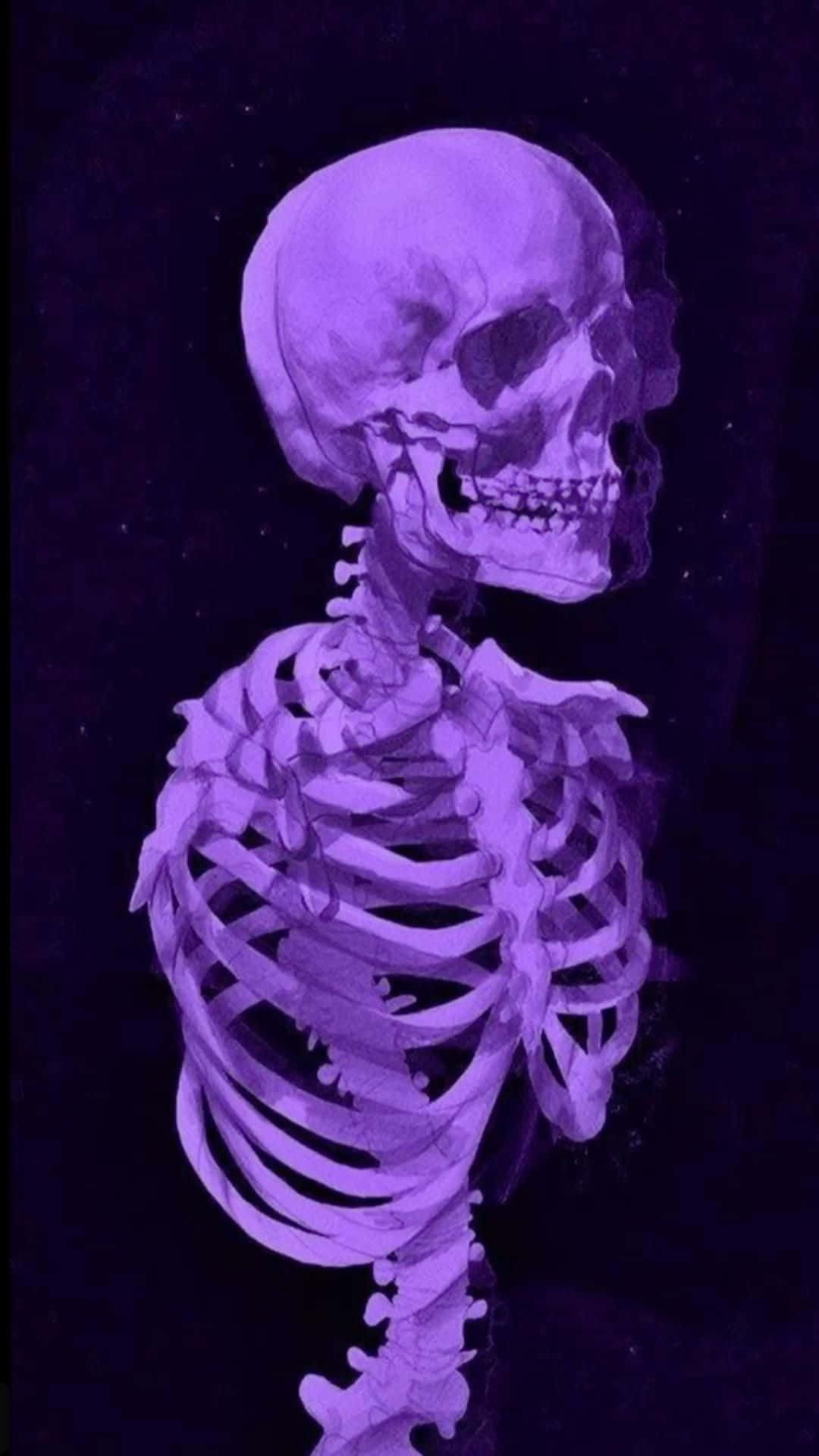 Purple Hued Skeleton Portrait Wallpaper