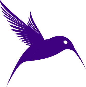 Purple Hummingbird Silhouette PNG
