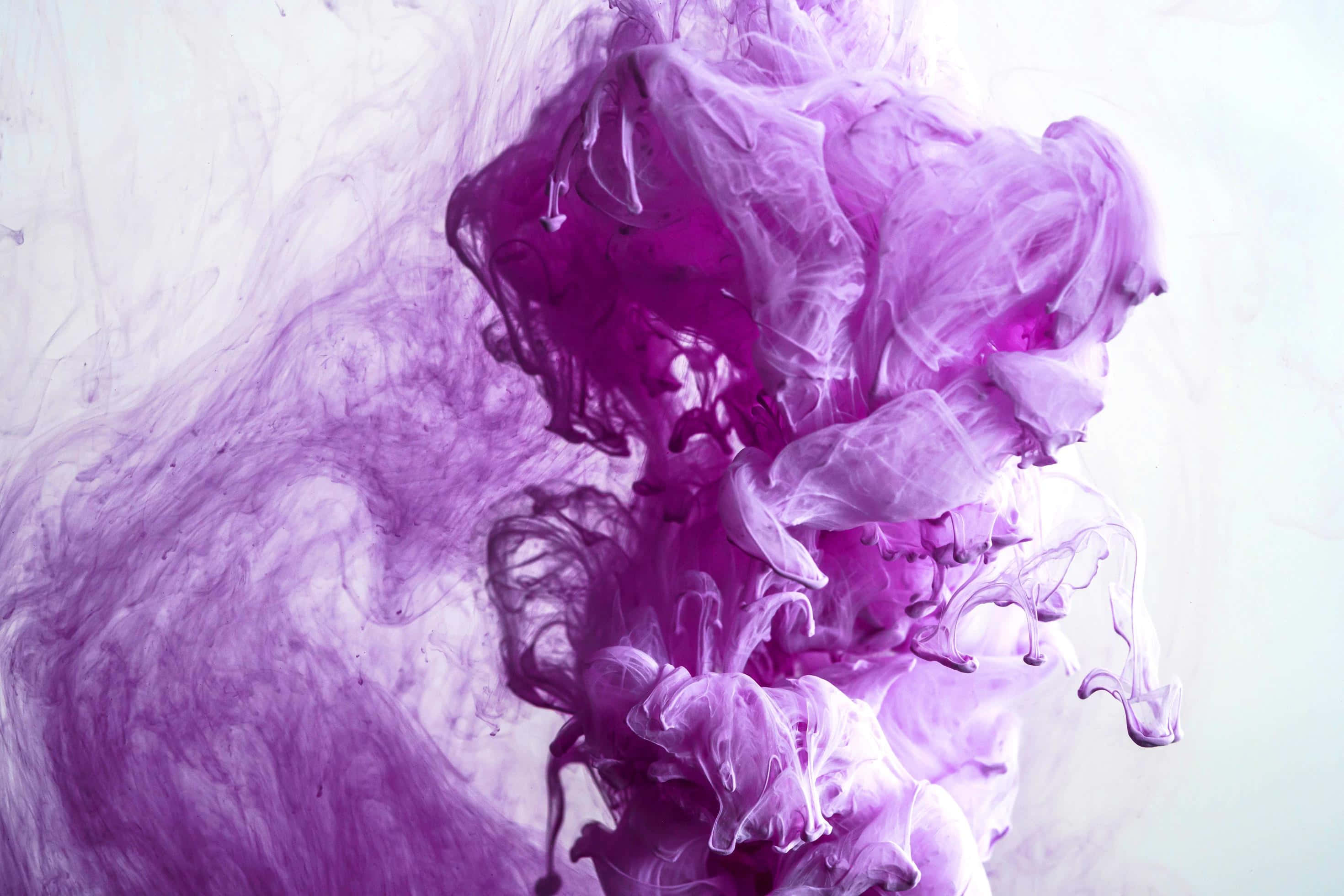 A pool of deep, mesmerizing purple inks Wallpaper
