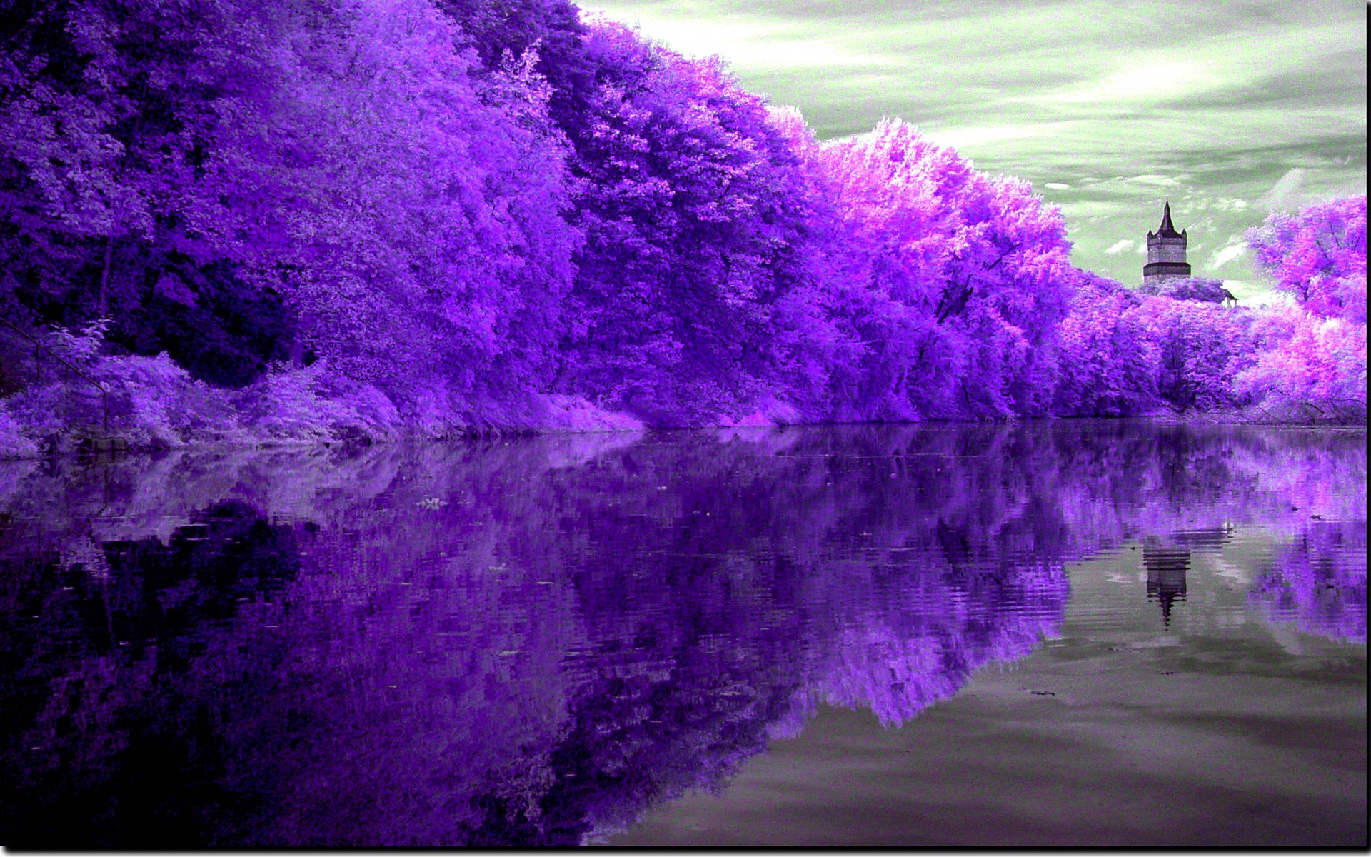 Purple Lake Reflection