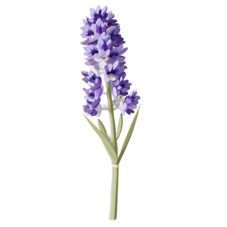 Purple Lavender Bloom Png Hye34 PNG