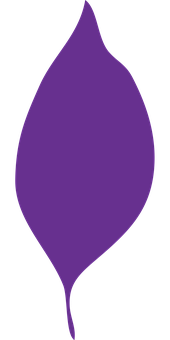 Purple Leaf Graphic PNG