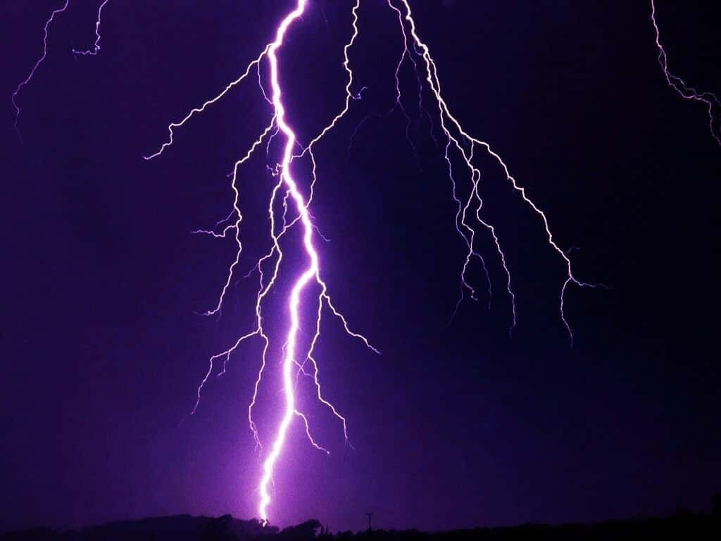 Striking Purple Lightning in the Night Sky