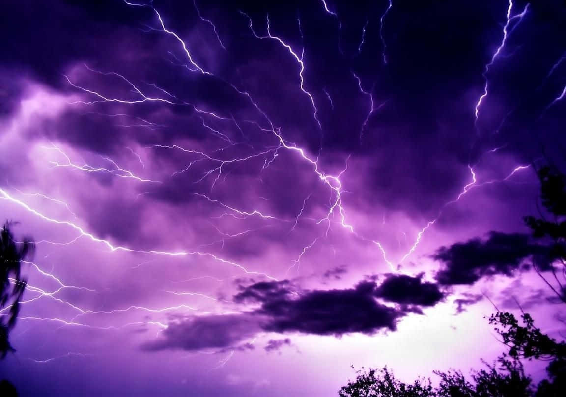 Striking Purple Lightning Illuminating the Night Sky