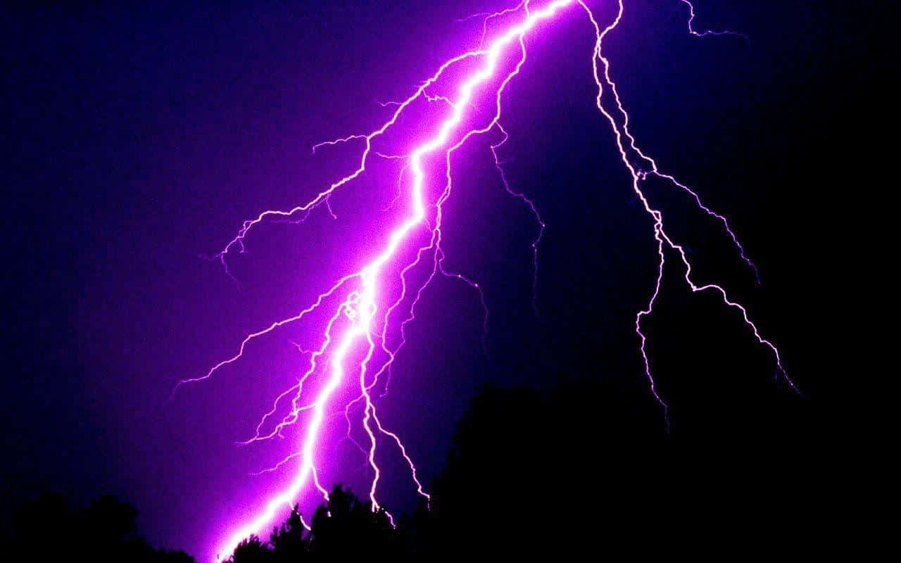 Electric Purple Lightning