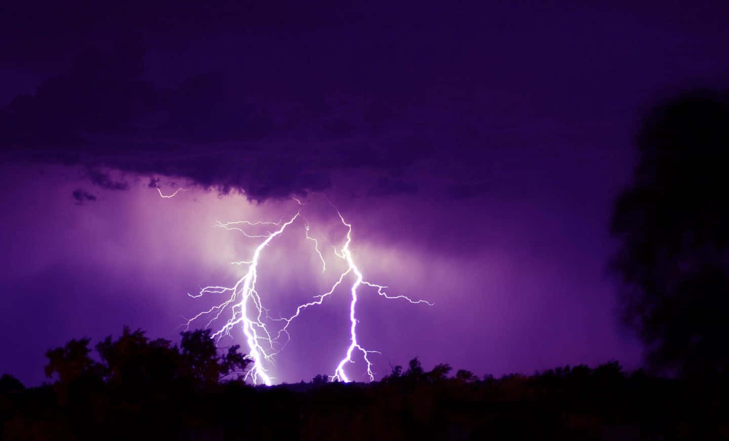 Caption: Electric Purple Storm