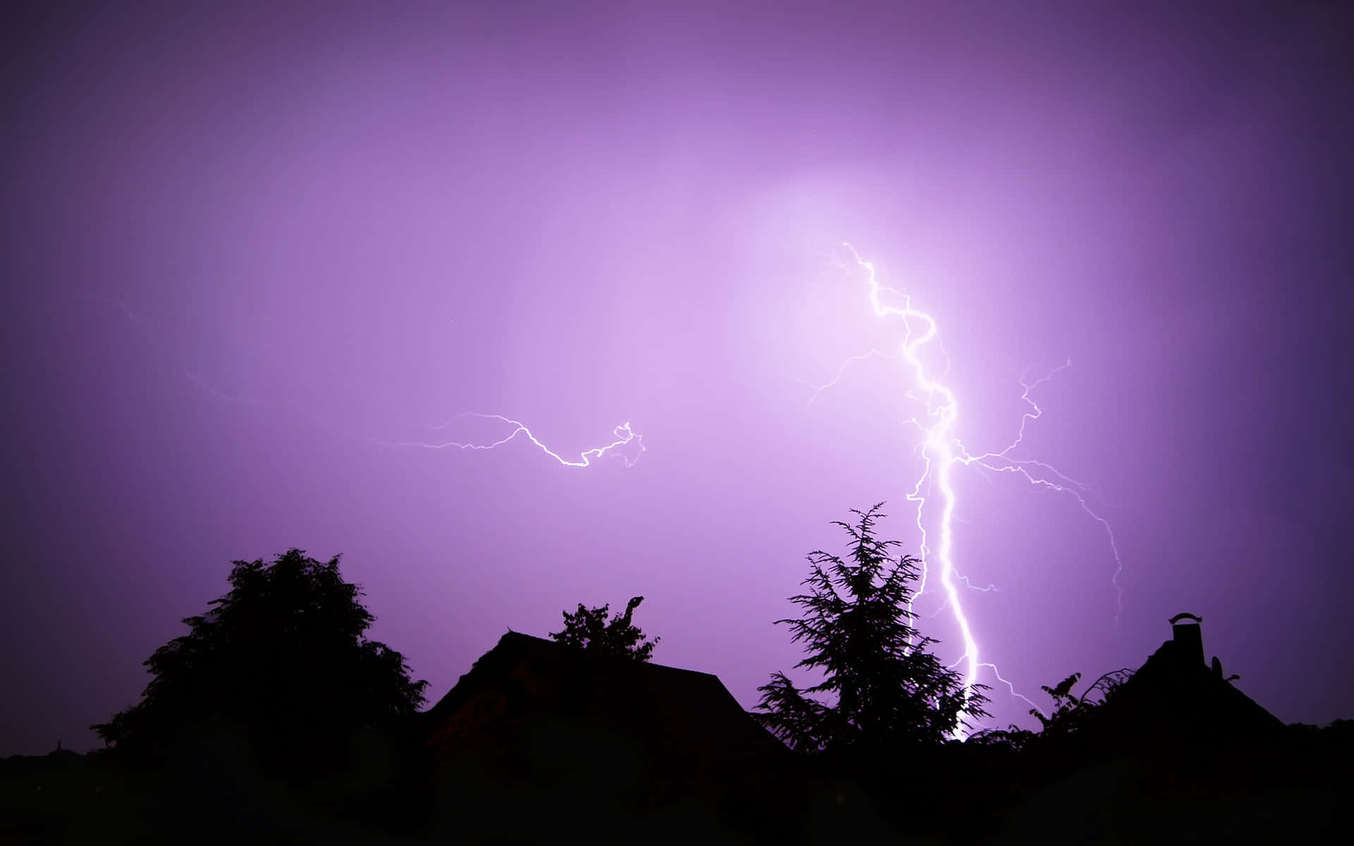 Stunning Purple Lightning Storm