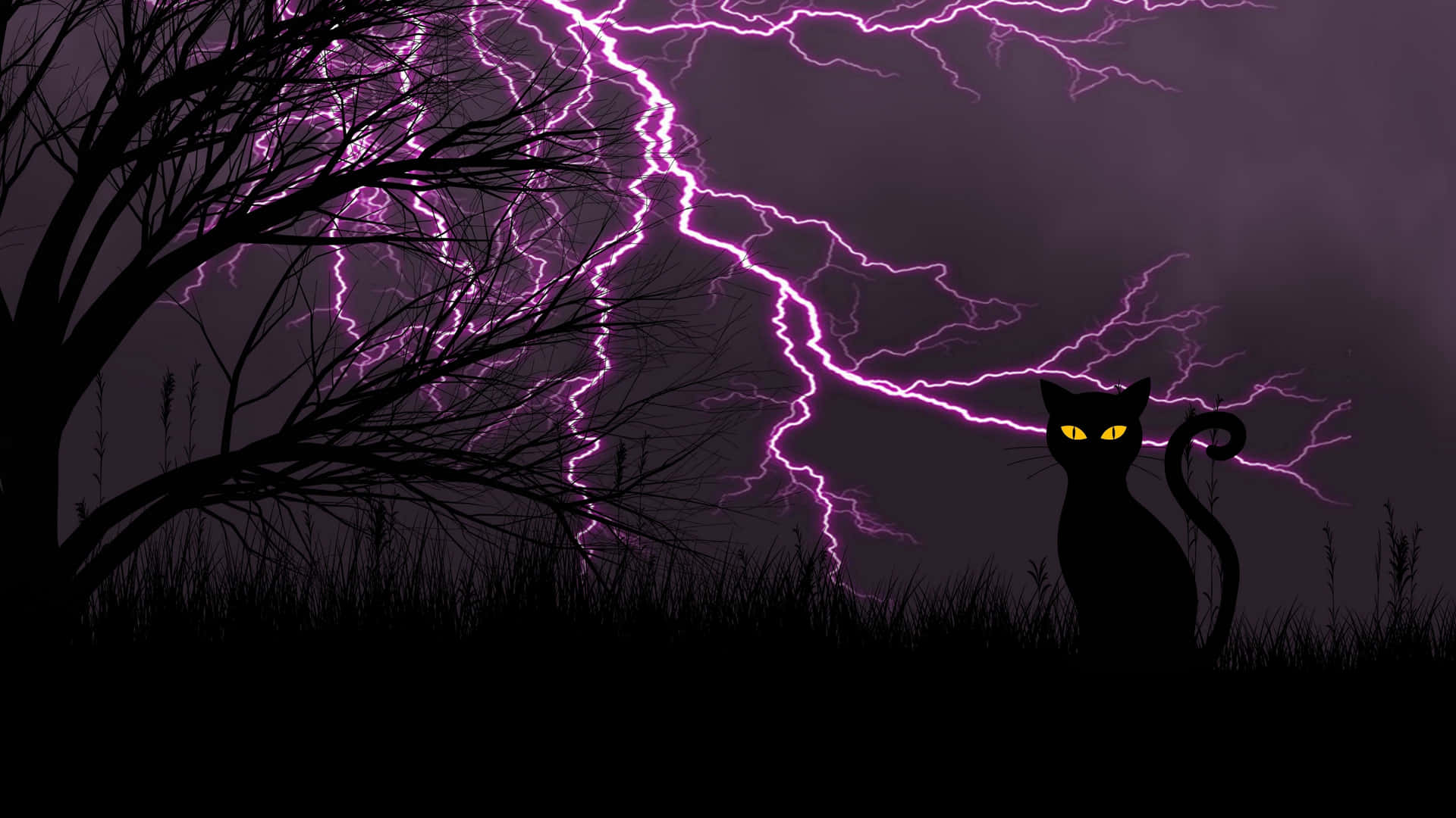 Purple Lightning With Black Cat Wallpaper
