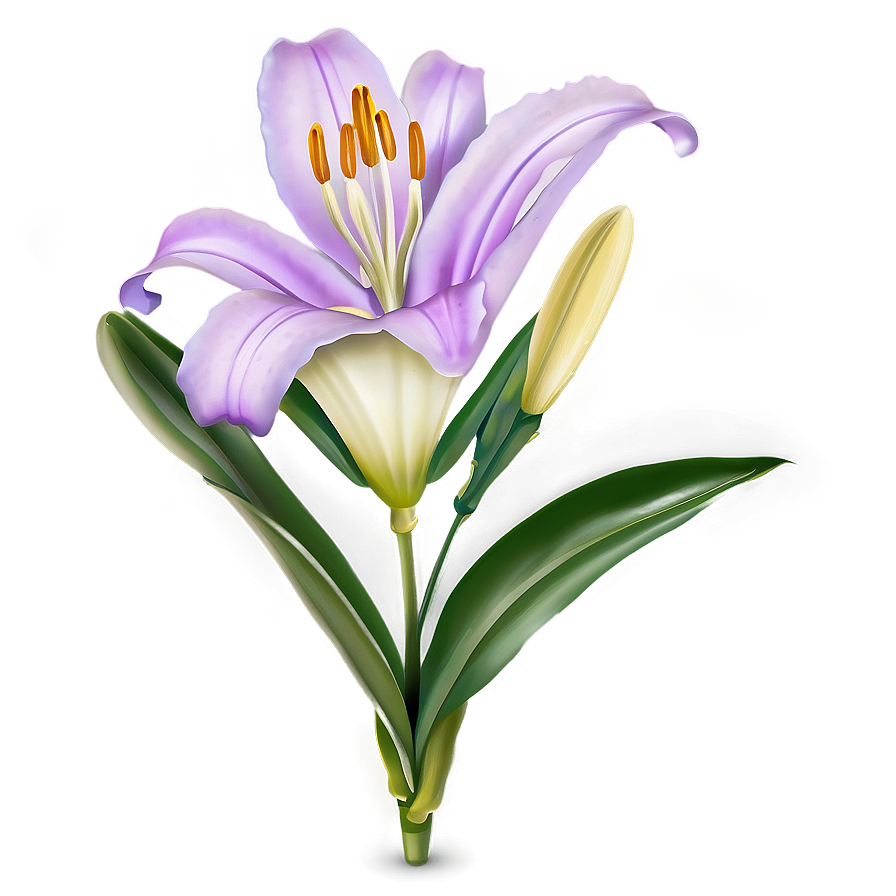 Purple Lily Flower Png Ijq PNG