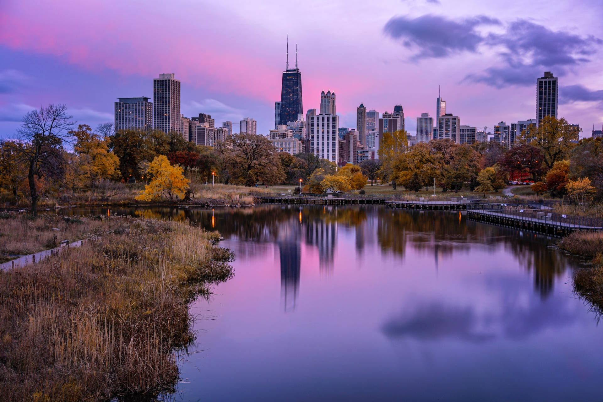 Purple Lincoln Park Chicago Skyline Wallpaper