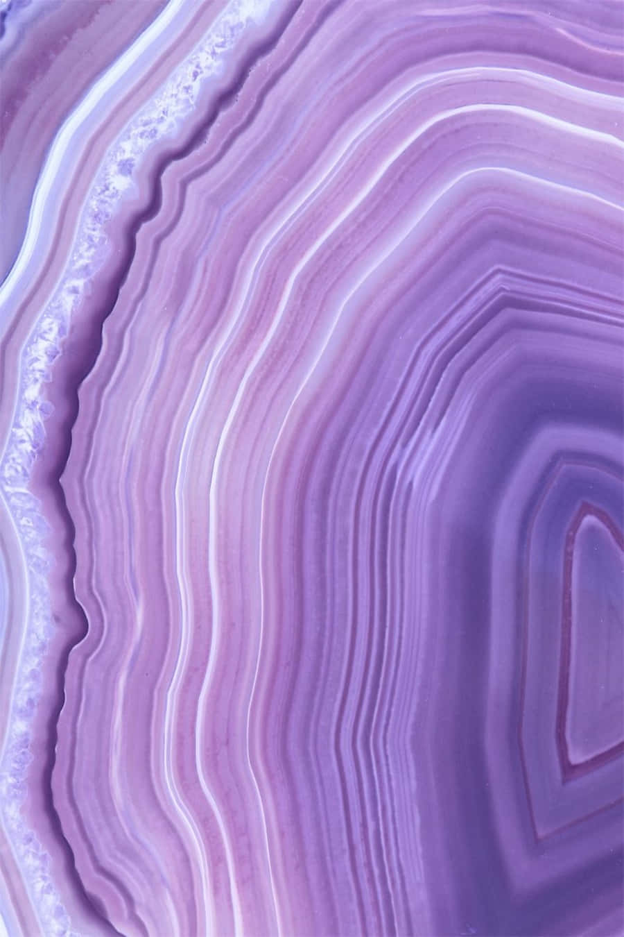Purple Marble Tree Rings Pattern Wallpaper
