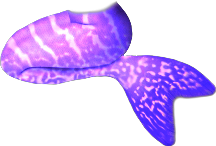 Purple Mermaid Tail Graphic PNG