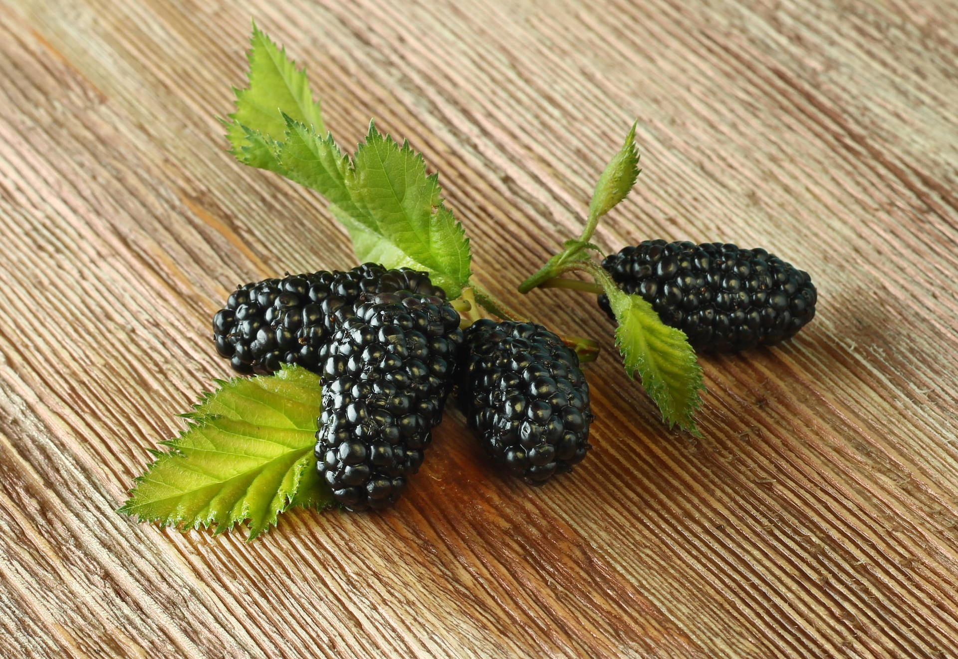 Lilamulberry-frukt Med Blad Wallpaper