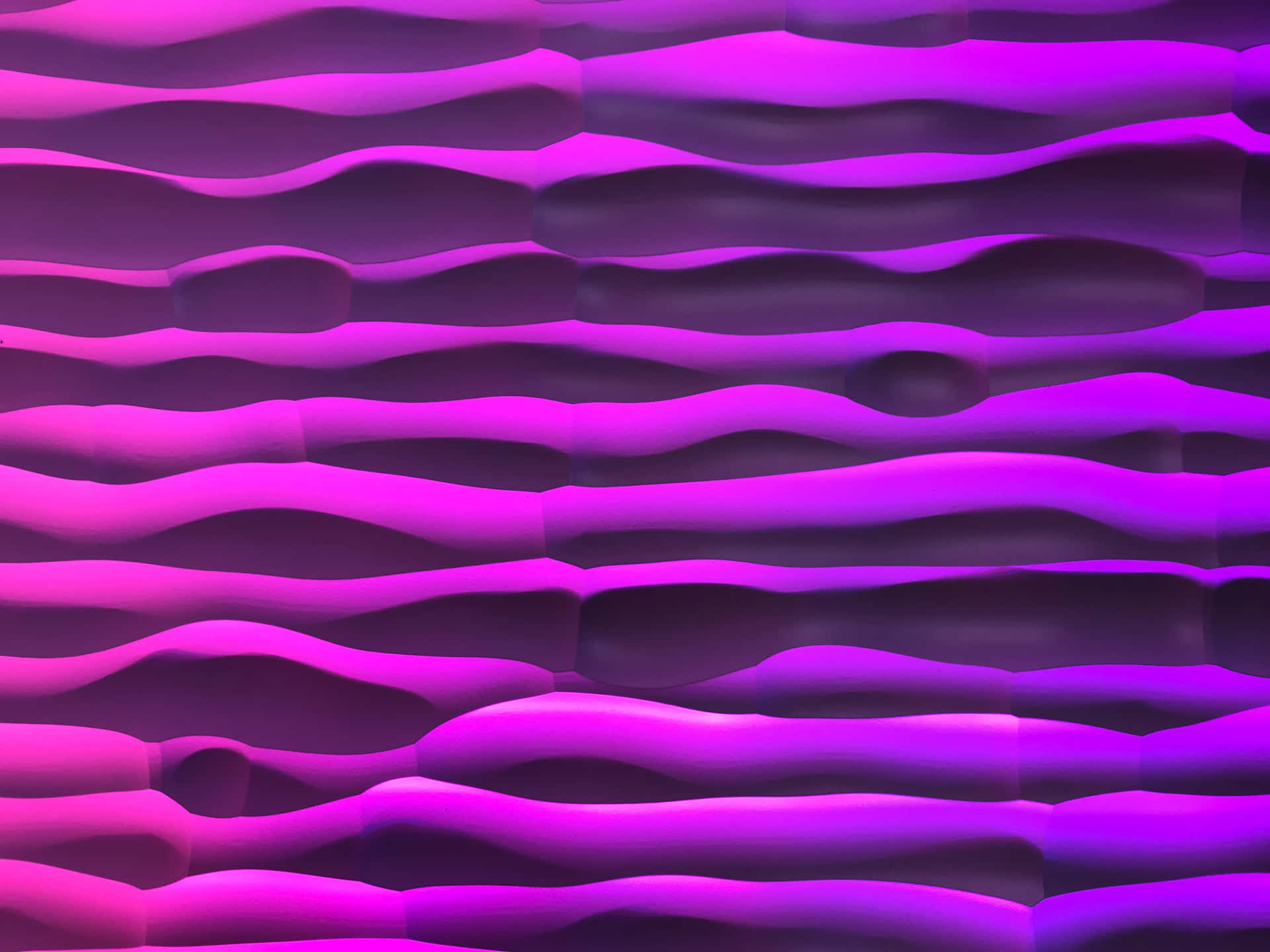 Experience Vibrant Hues With A Purple Neon Background
