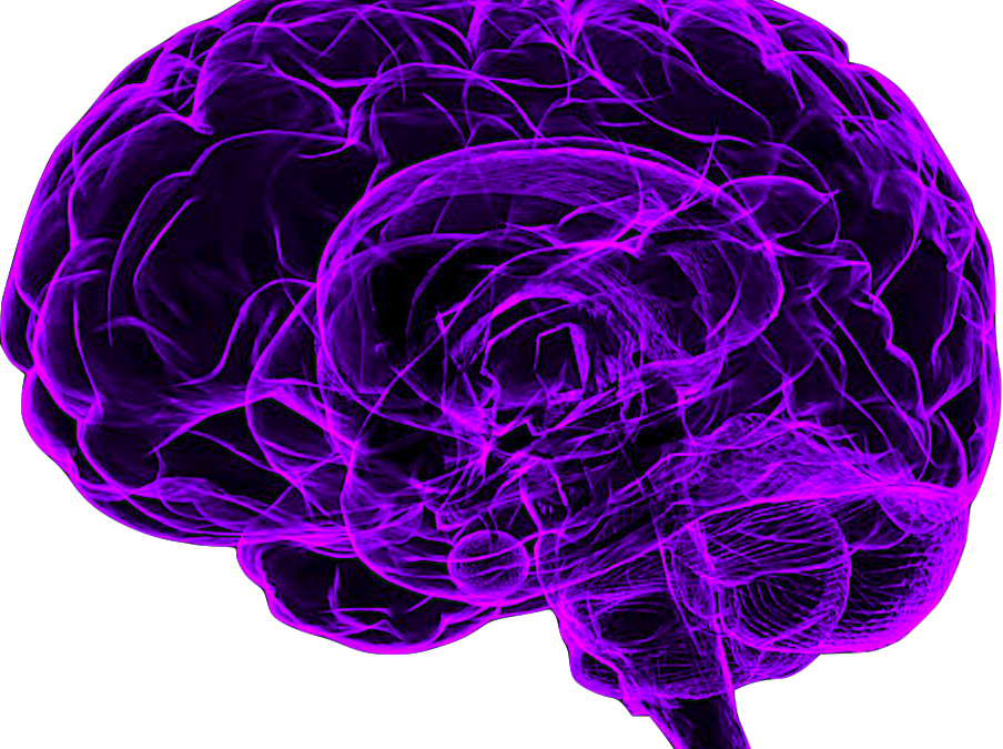 Purple Neural Network Brain Illustration PNG