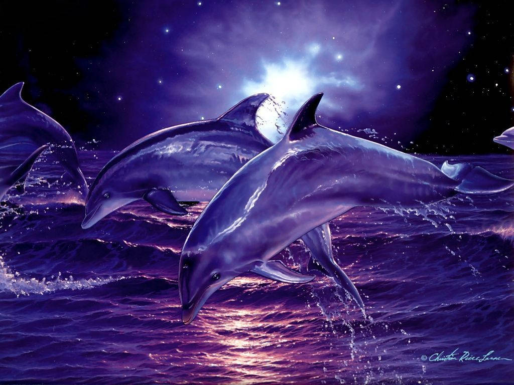 Purple Night Dolphins Wallpaper
