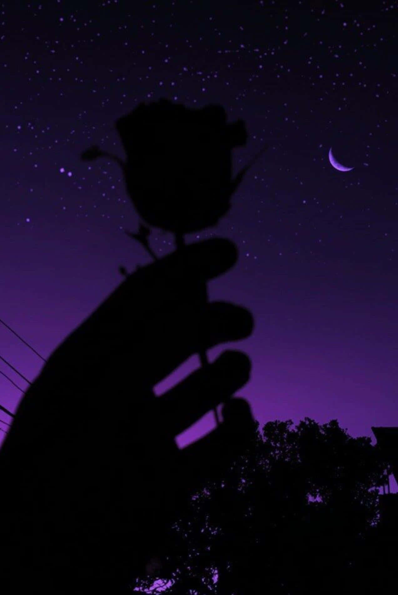 Purple Night Sky Rose Silhouette Wallpaper