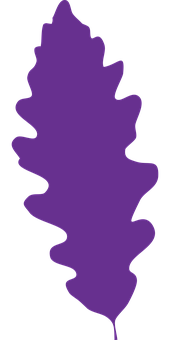 Purple Oak Leaf Silhouette PNG