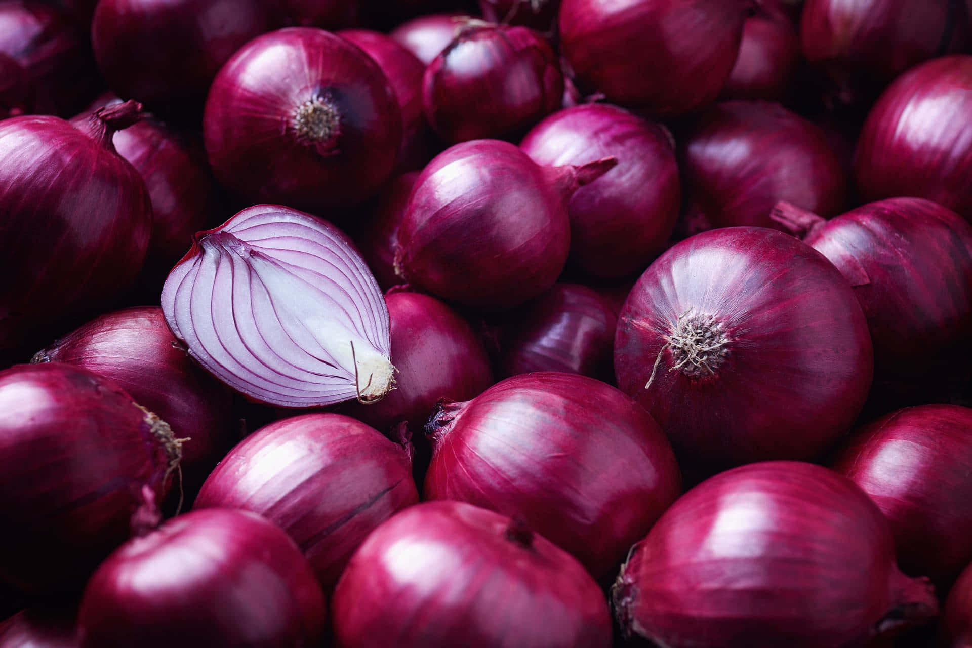 "Plump purple onions add a hint of sweetness to recipes!" Wallpaper
