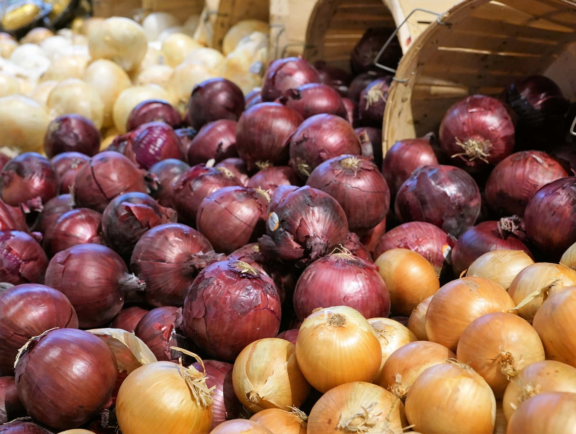 A bunch of freshly picked purple onions Wallpaper