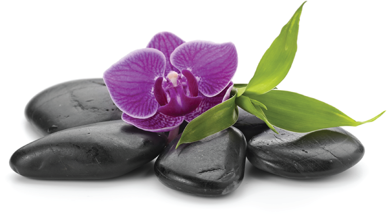 Purple Orchidand Black Spa Stones PNG