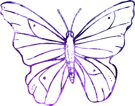 Purple Outlined Butterflyon Black Background PNG