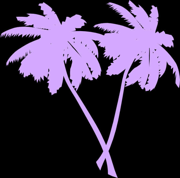 Purple Palm Silhouetteson Black PNG