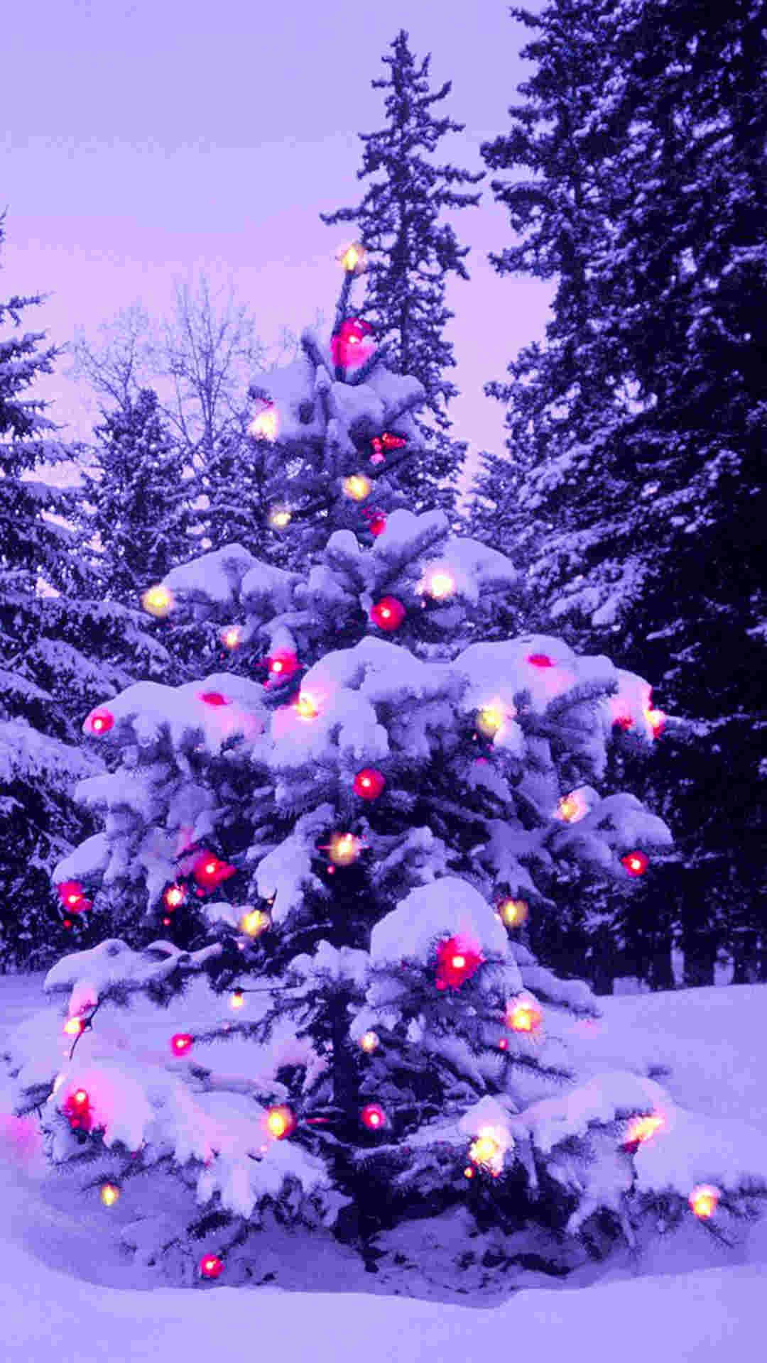 Purple Christmas Wallpapers  Top Free Purple Christmas Backgrounds   WallpaperAccess