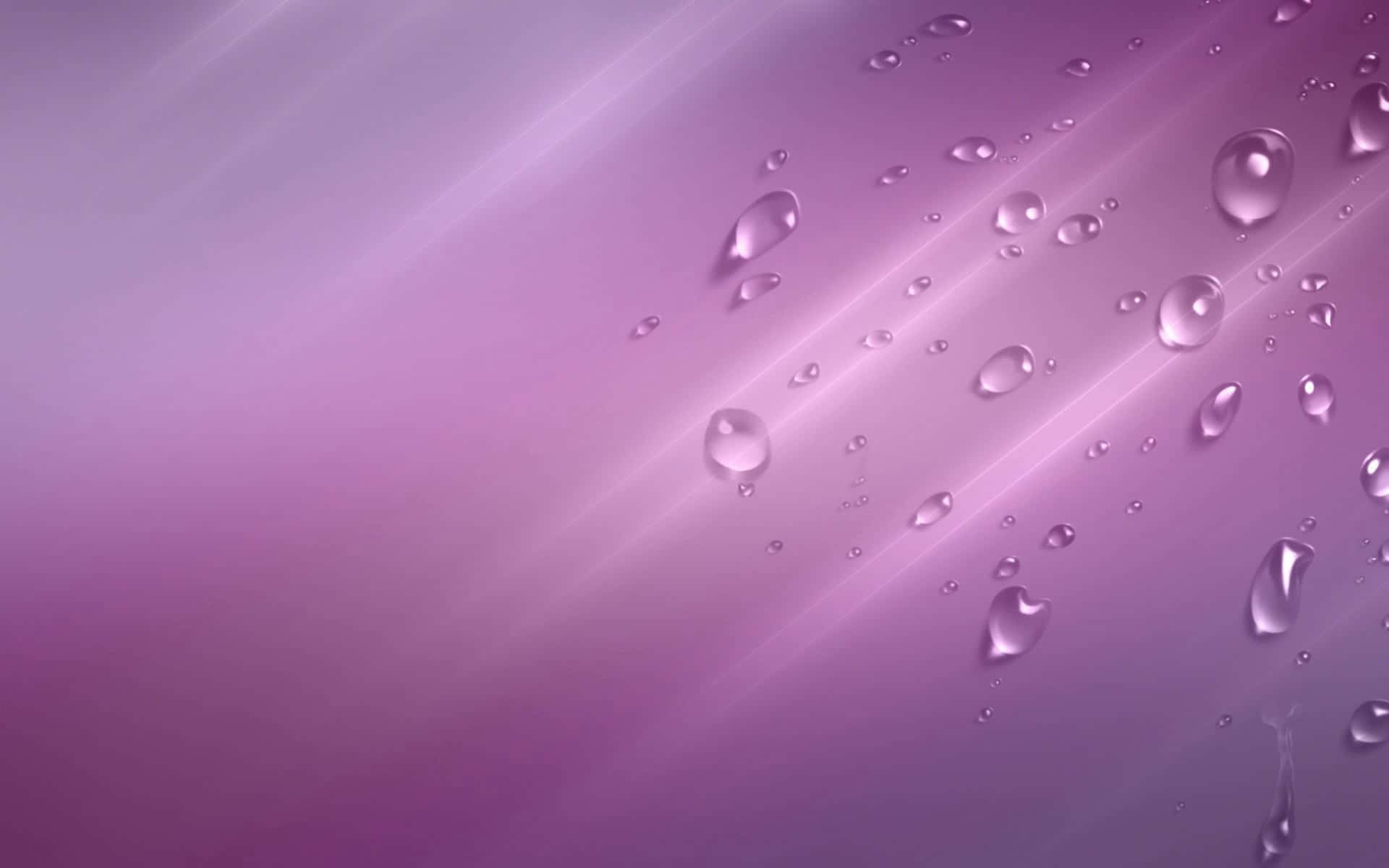 Water Droplets On A Purple Background