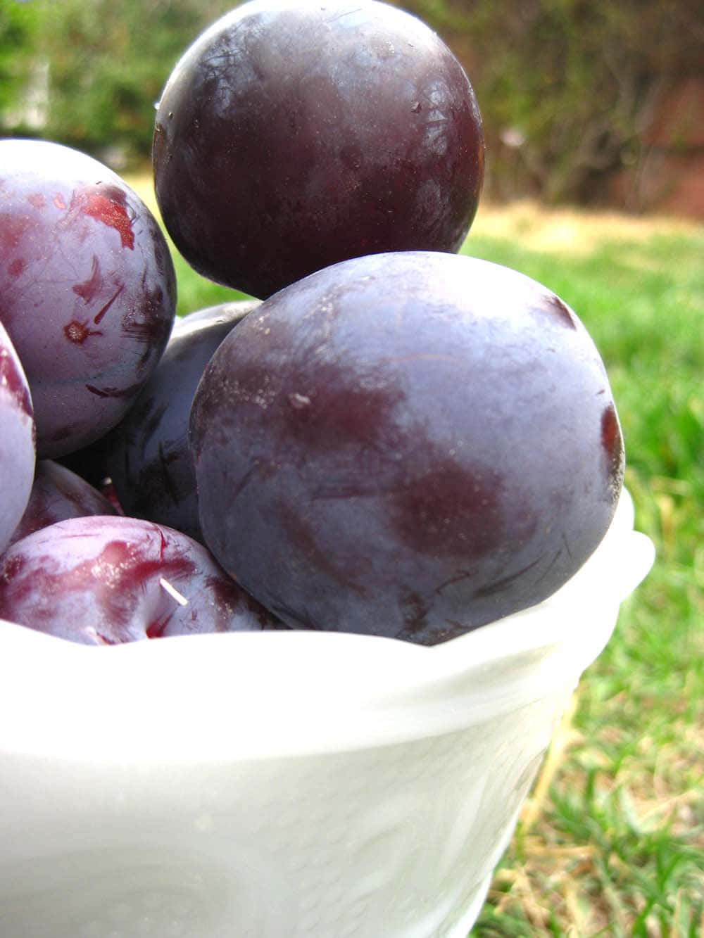 Plump and Juicy Purple Plums Wallpaper