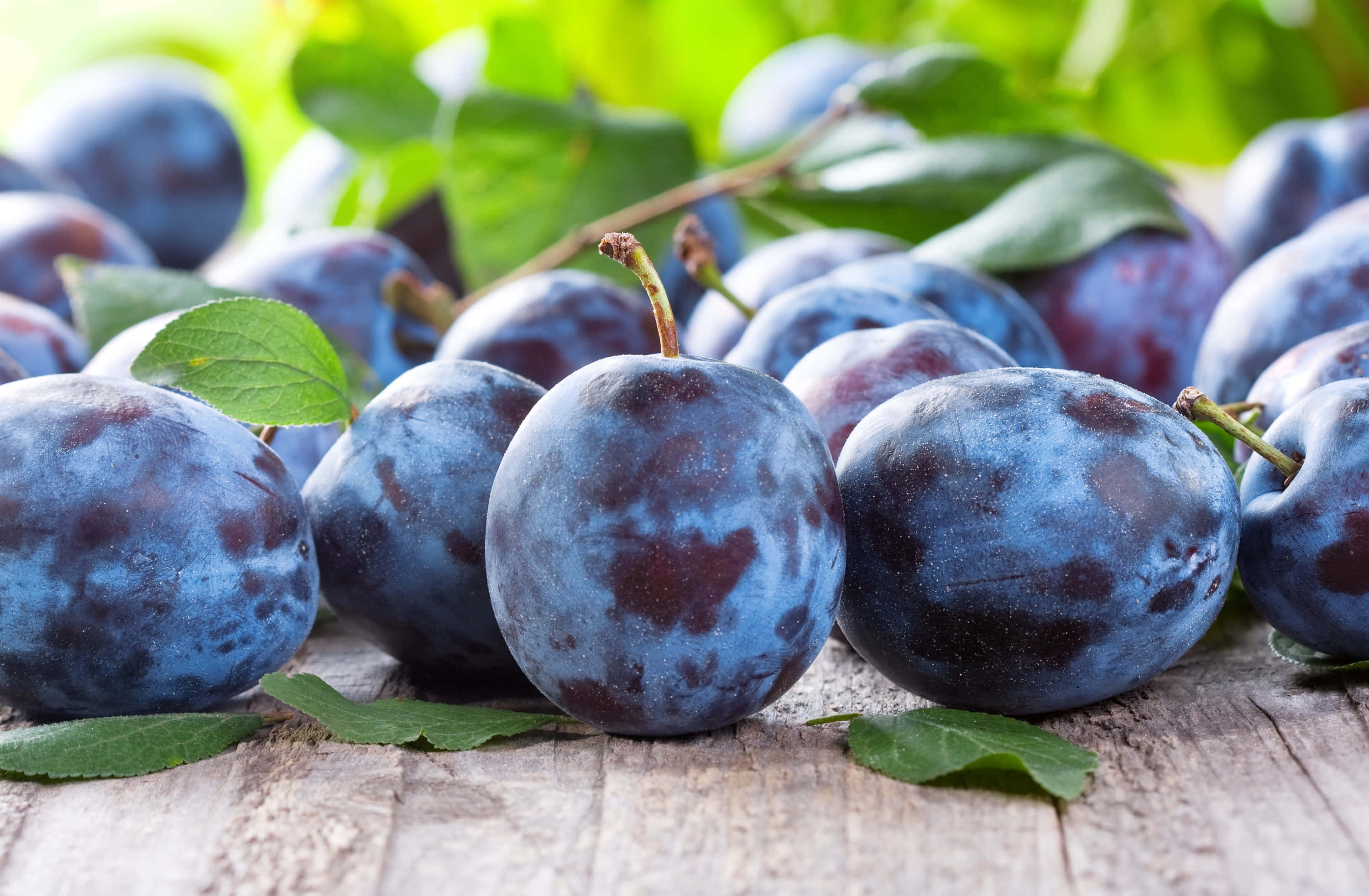 Juicy purple plums, ripened to perfection Wallpaper